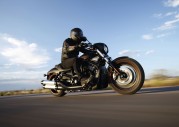 Harley-Davidson XL1200N Nightster